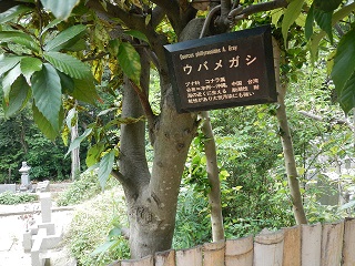 EoKV