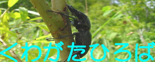 �g�b�v�y�[�W��