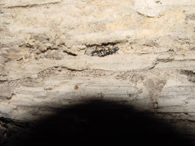 �قƂ�ǐ^���Â̂Ȃ�����o����������