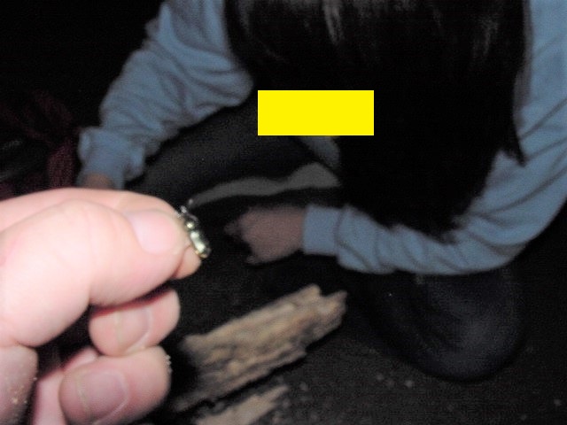 �^���ÂȂȂ��A�������B�e���Ă���������ōނ�@�������