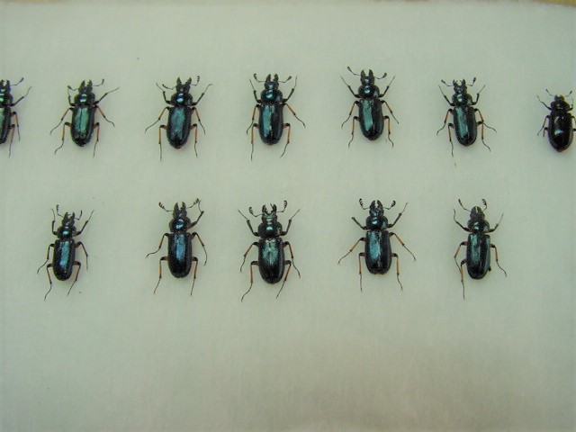 �������R����