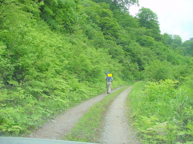 �ѓ�������Ȃ��烋�b�L���O����^�J����