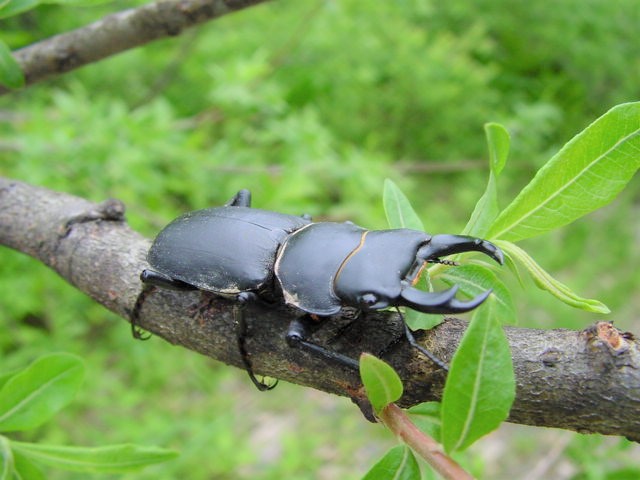 �}��������񂹂ĎB�������ԉ摜