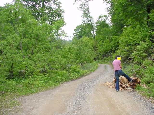 �|�؂ɃP�������鏕���^^;