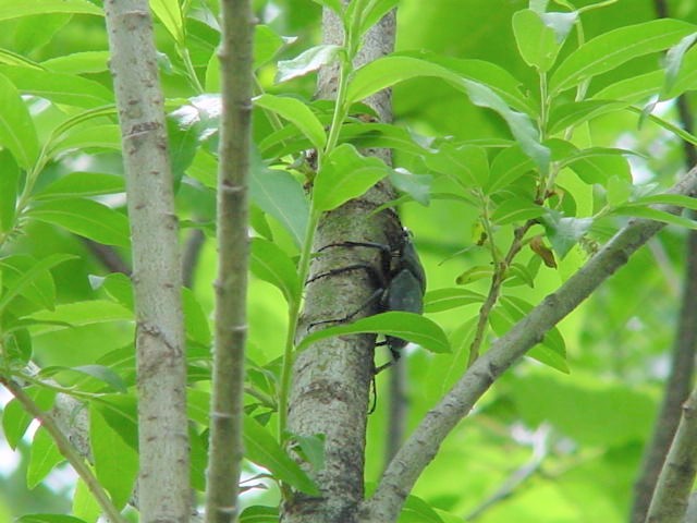 ��3���̍����ɕt���Ă����q���I�I��