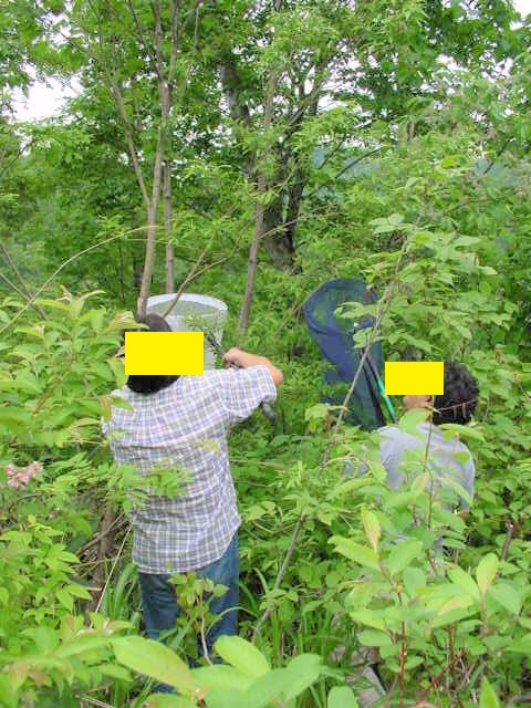 �^�J����Ɏ�`���Ă��炤��������