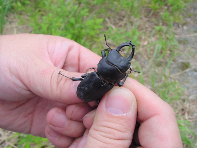 �q���I�I��50�~���I�[�o�[