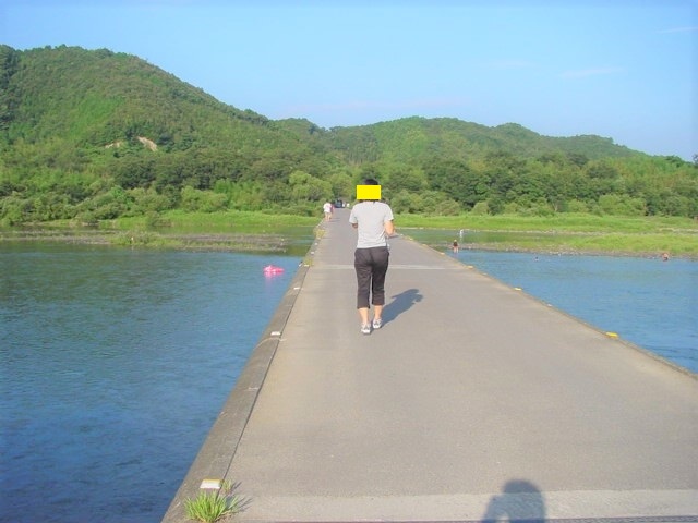 ��������n�鏕���