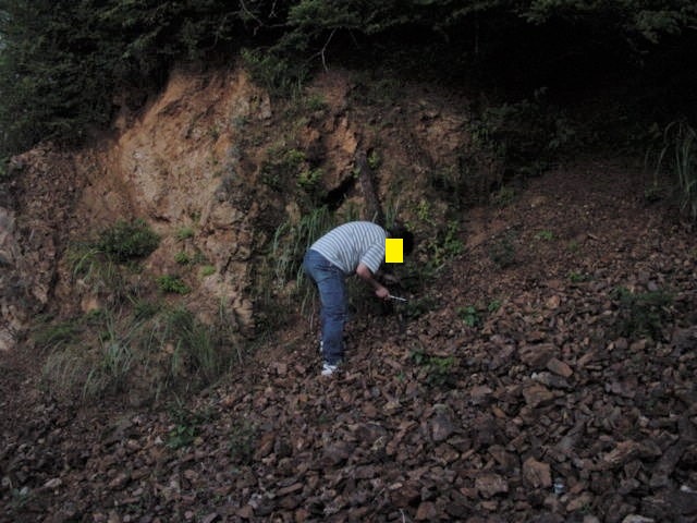 �����ނ�@����������