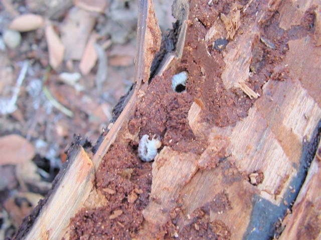 �~���}�c���n�_�c��