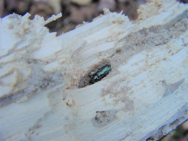 �P���R�Y�z�\�c������