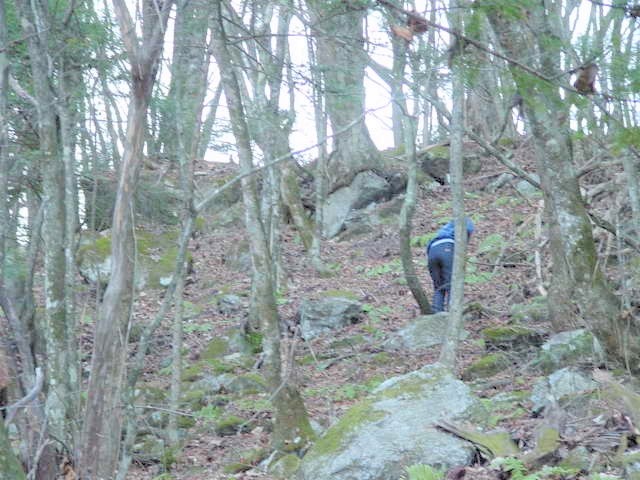 �Ζʂ��オ�鏕���