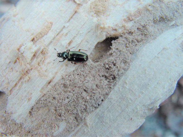 �z�\�c����