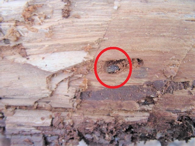 �}�_����