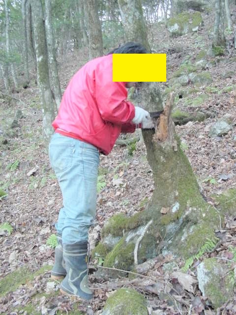 �z�\�c���ނ���邠������