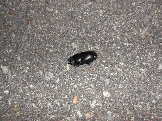 �I�I��(�����Z)