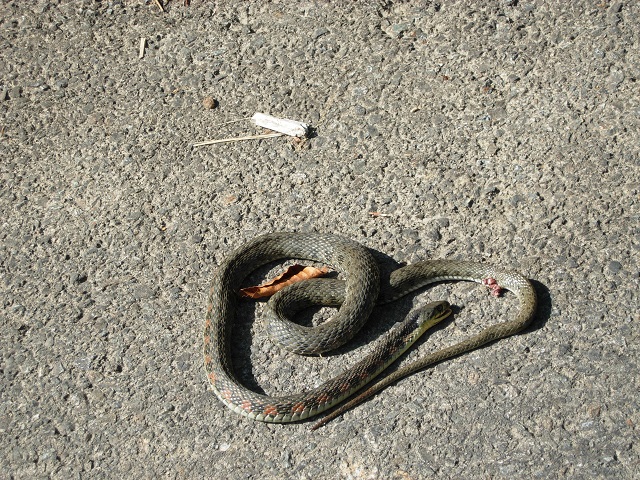 ���}�J�K�V?