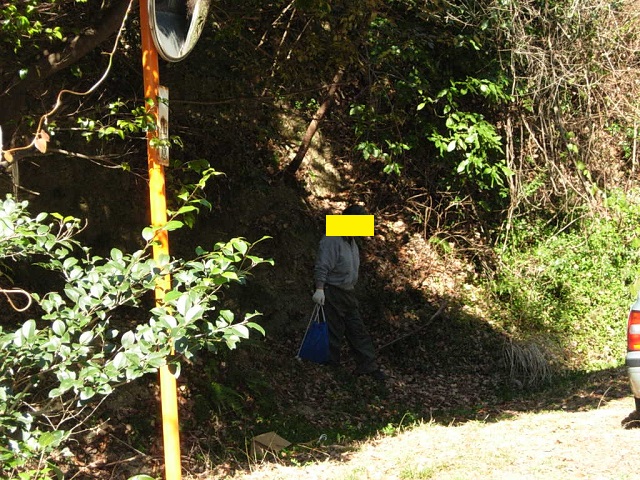 ���킽������