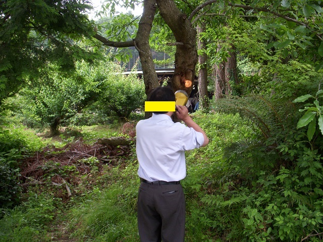 �E�͌g�сA���͉����d���̃E�`�̎В�