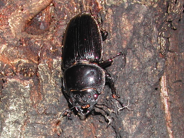 ZȂ