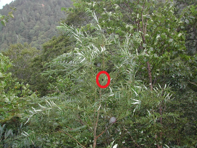 �A�J�A�V�y�A