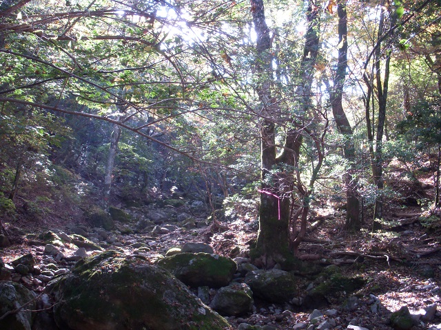 �ɓ���_�J����^^;