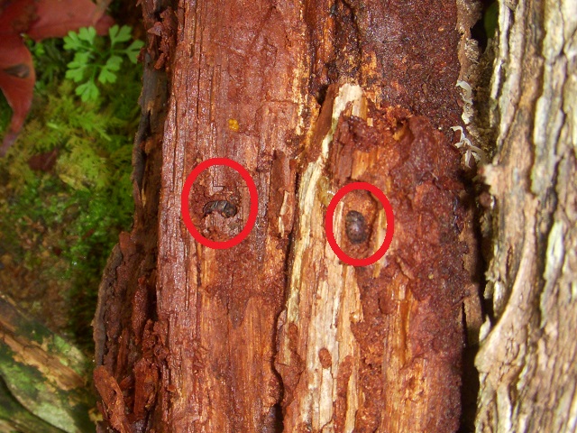 �}�_���y�A