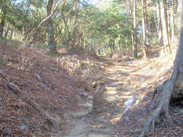 �����̗ѓ�