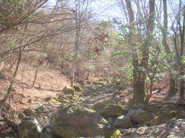 �ɓ��̒�_^^;