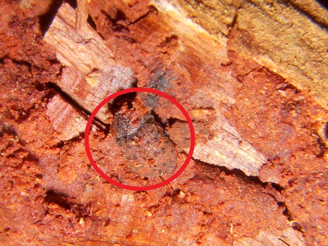 �}�_����