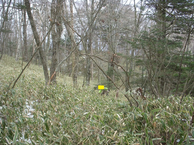 �W���j�[����