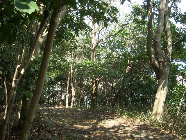 ��������H