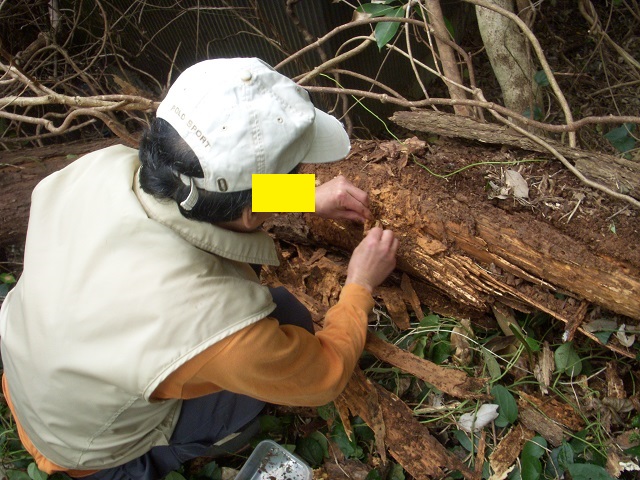 �|�؂����邫�[����