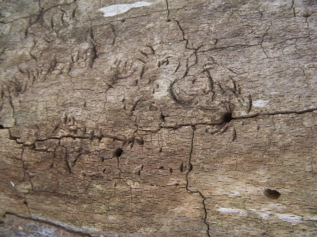 �������}�[�N�̂ق��ɁA�傫���}�[�N