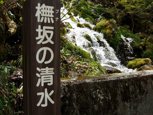 �u�i��̐���