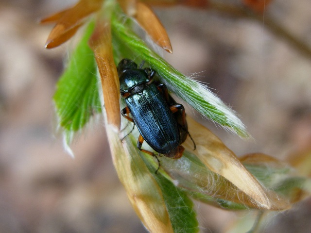 �R�����y�A