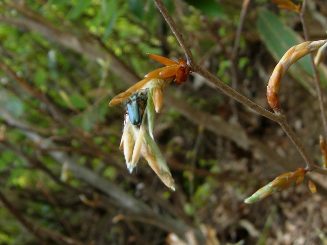 �R�����y�A