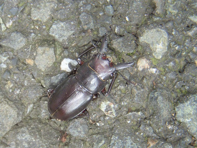 H�m�R�M����