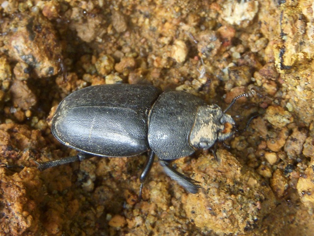 H�m�R�M����