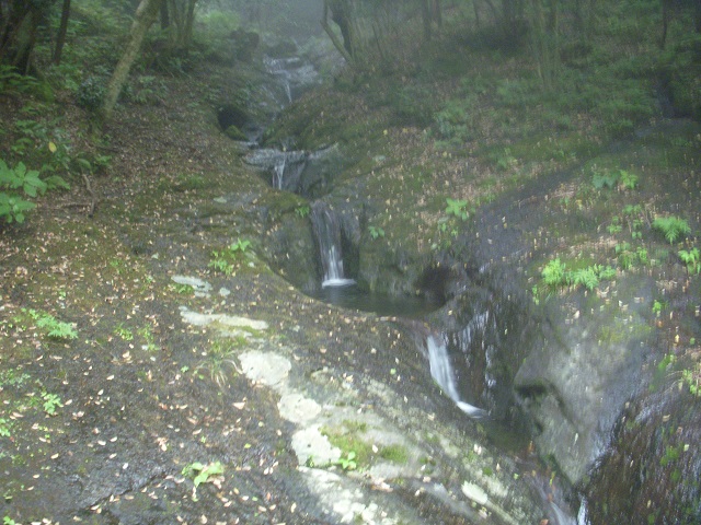 �|�b�g�z�[���U���H