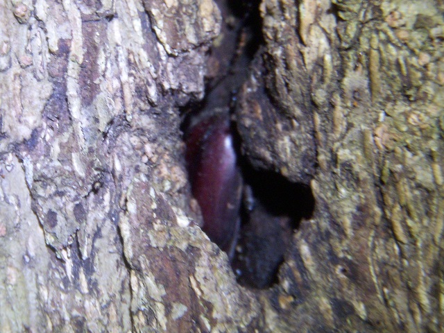 H�m�R�M�����@���B���ĐK�B����