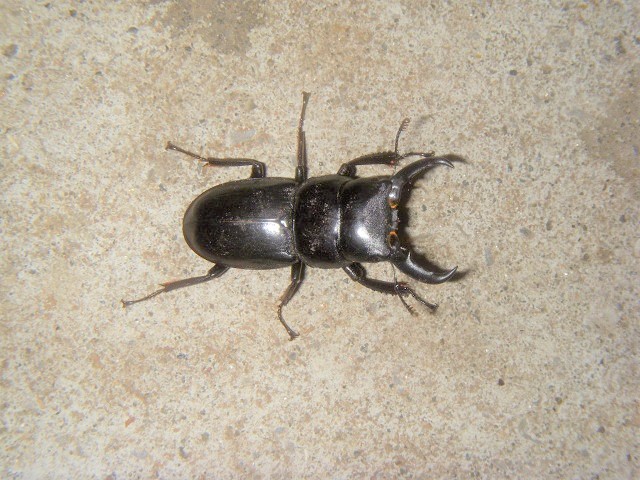 H�q���^��