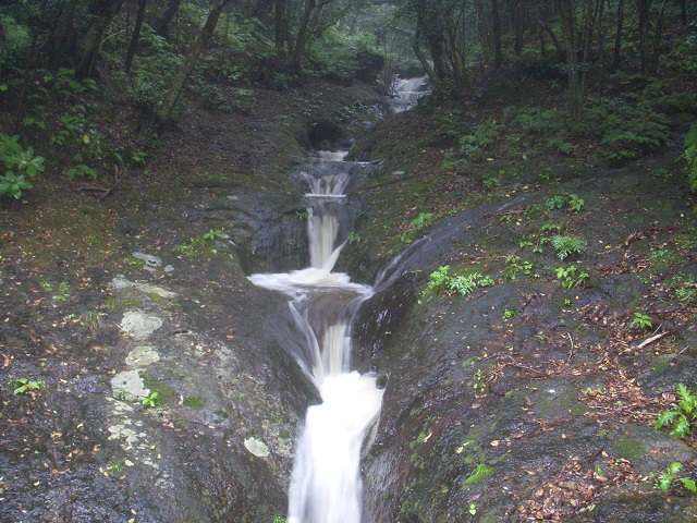 ���䓇�|�b�g�z�[���U���H