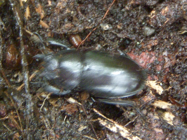 H�m�R�M����