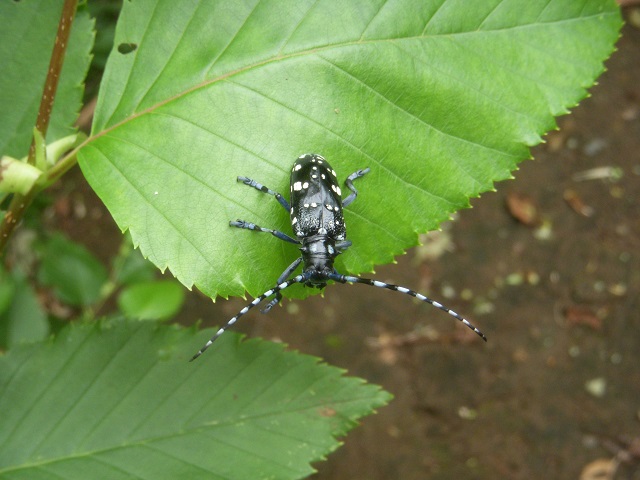 �S�}�_���J�~�L��