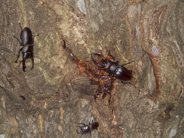 �m�R�M��1���E�R2��