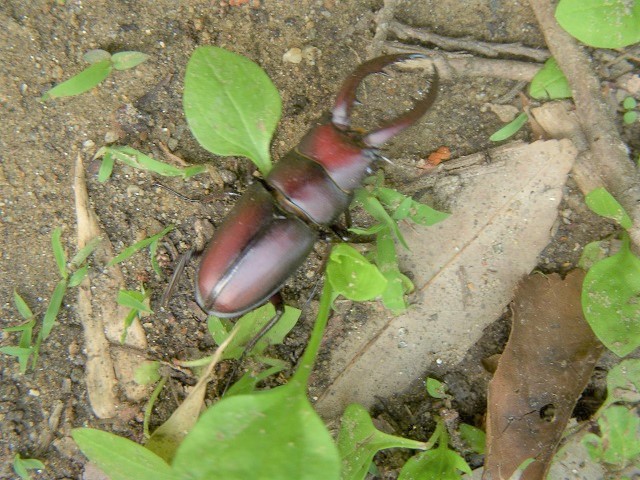 �m�R�M����