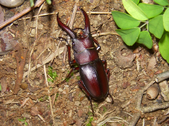 �m�R�M����