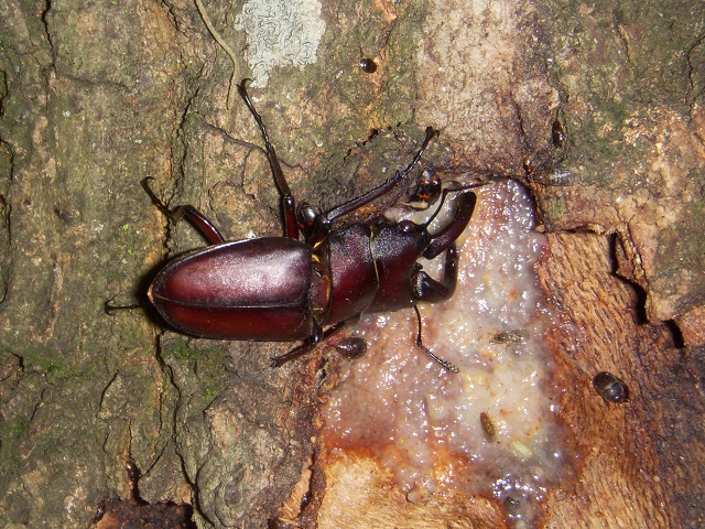 �m�R�M����