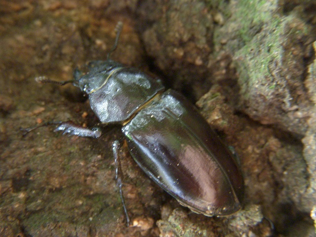 �~���}��